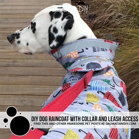 Diy Dog Raincoat