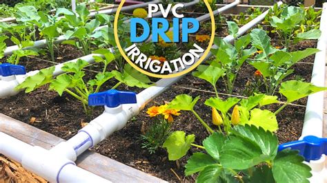 Diy Drip Irrigation Kit