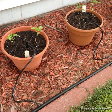 diy drip irrigation system for containers