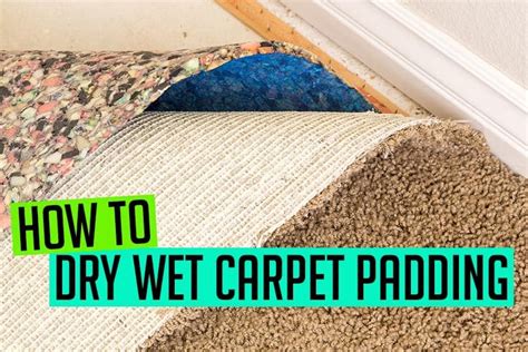 diy dry wet carpet