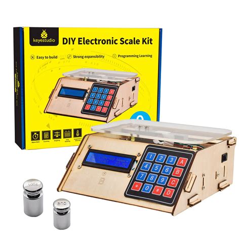 Diy Electronic Instruments