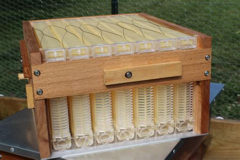 Diy Flow Hive