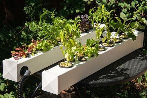 Diy Hydroponic Gardens