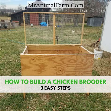 Diy Large Chicken Brooder