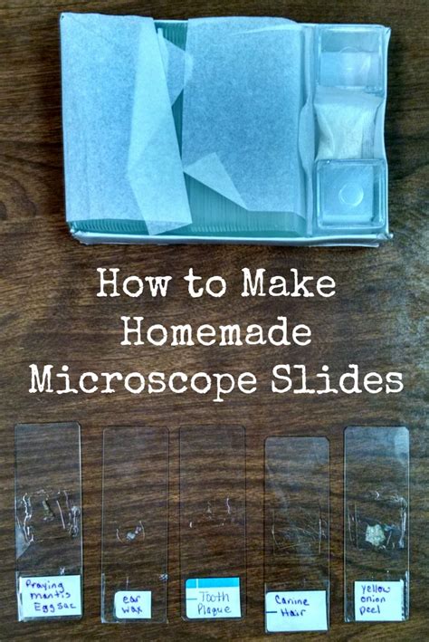 Diy Microscope Slides
