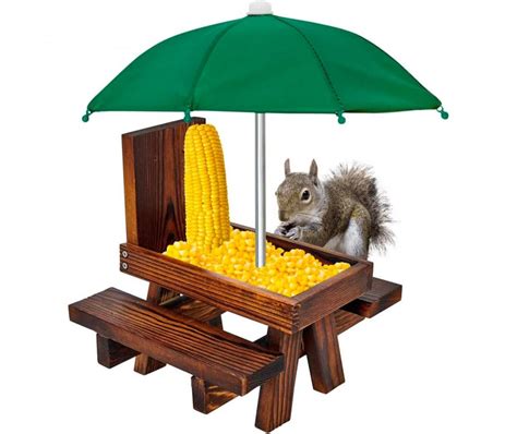 Diy Mini Picnic Table For Squirrels