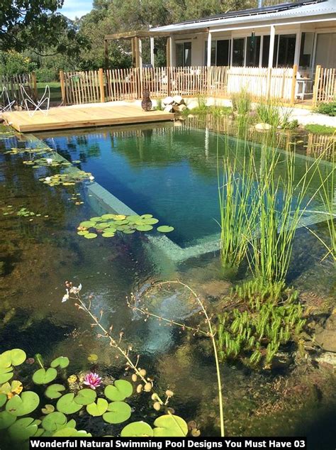 DIY Natural Pools