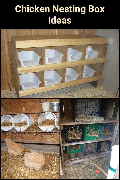 Diy Nesting Boxes For Chickens