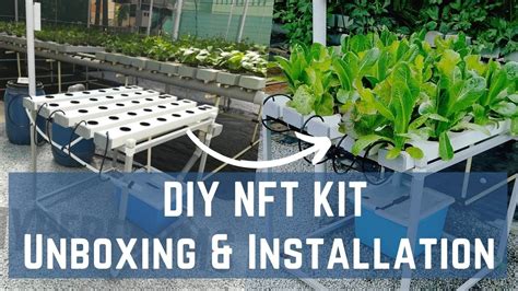 Diy Nft Hydroponics