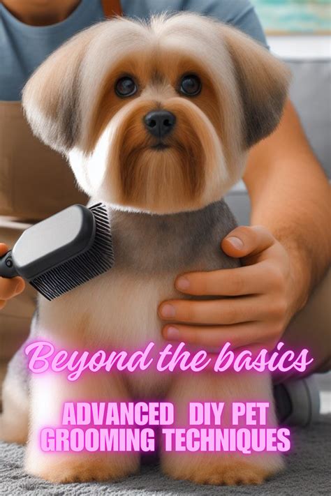 Easy diy pet grooming techniques at home