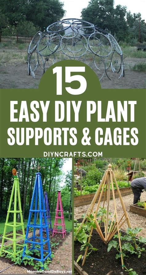 Diy Plant Support