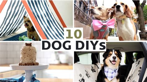 Diy Projects For The Dog