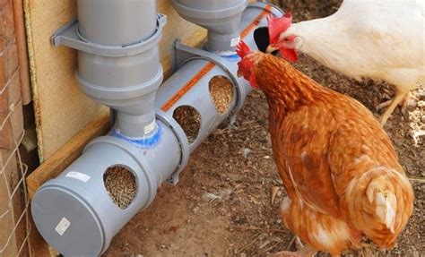 Diy Pvc Feeder