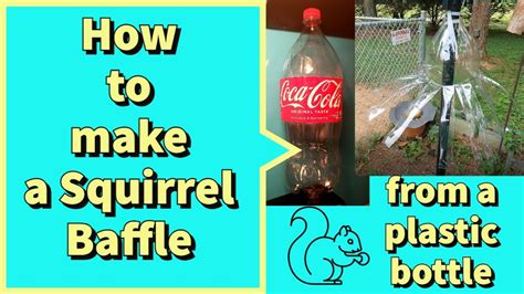 Diy Squirrel Baffle Pvc Pipe