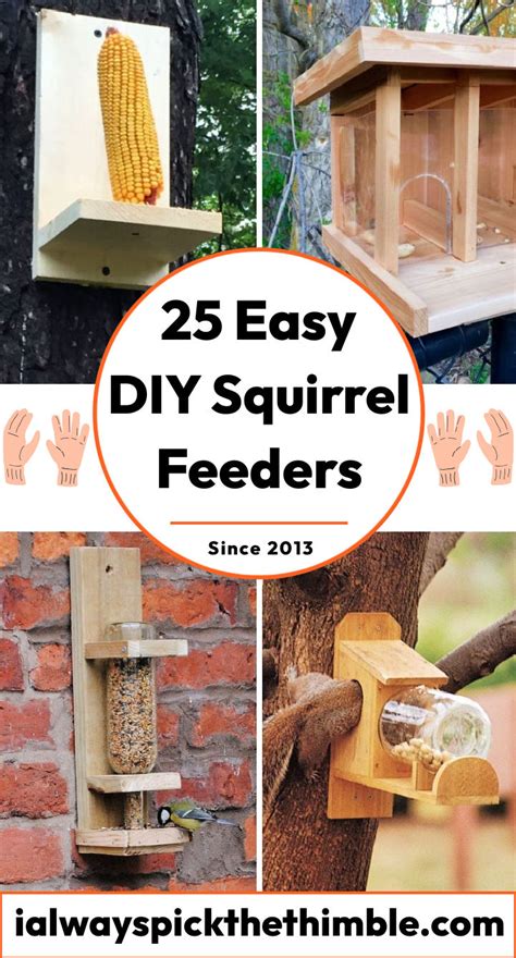Diy Squirrel Feeders