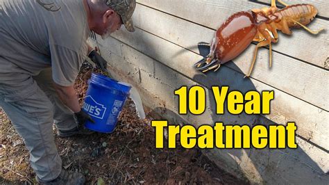 diy subterranean termite treatment