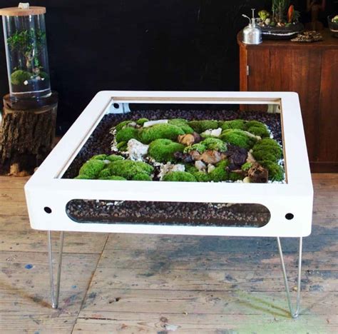 Diy Terrarium Table