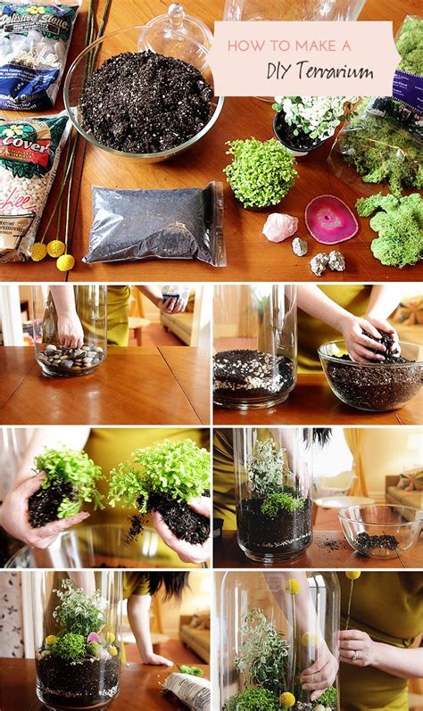 Diy Terrarium Tutorial