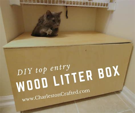 Diy Top Entry Cat Box
