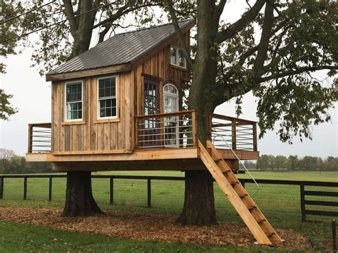 Diy Tree House Designs