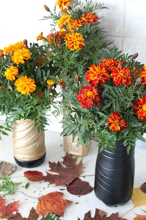 Diy Vase Cheap