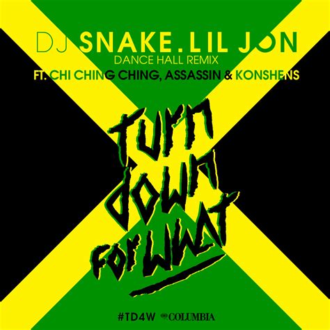 dj snake lil jon - turn down for what