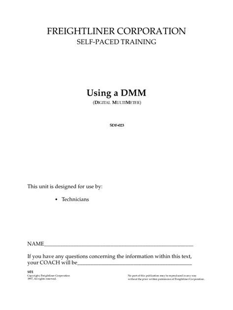 dmm pdf