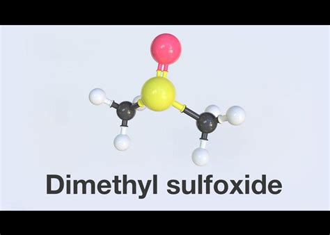 Dmso Benefits Dr Axe