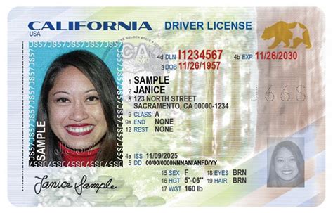 Dmv.org Identification Card