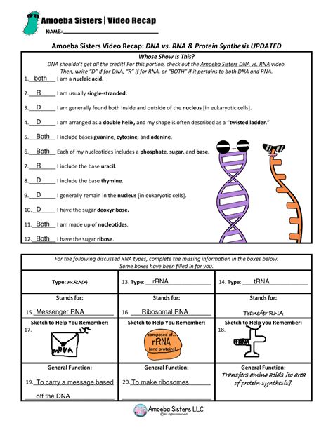 dna and rna worksheet answer key