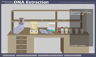 Dna Extraction Lab Utah