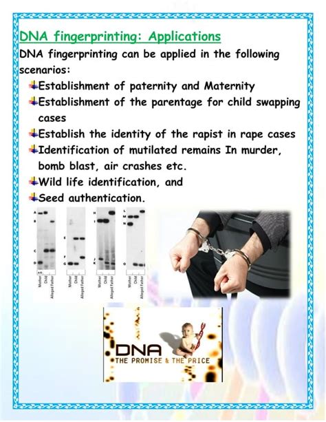 dna fingerprinting investigatory project