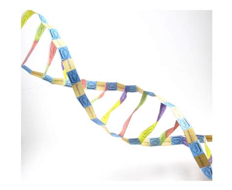 Painting Acrylic Art & Collectibles DNA