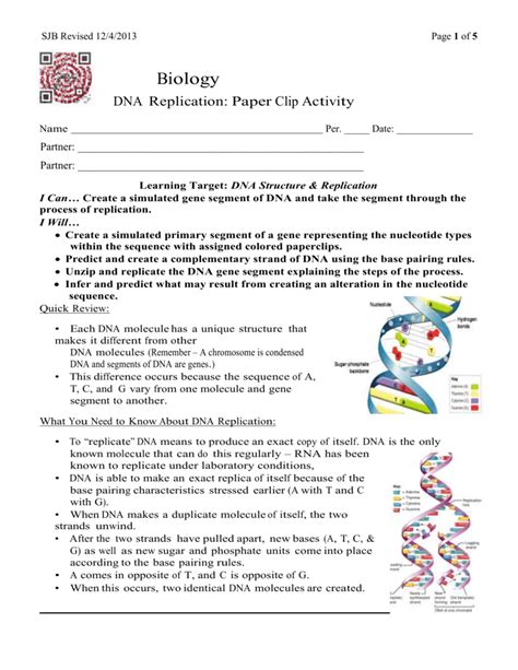 Dna Replication Paper Clip Activity Answer Key
