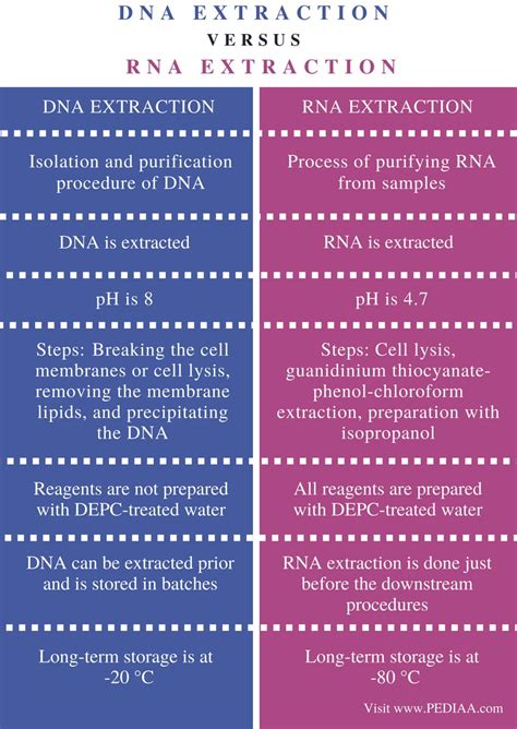 Dna Rna Extraction Difference
