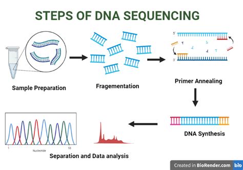 Dna Sequence Analysis Definition