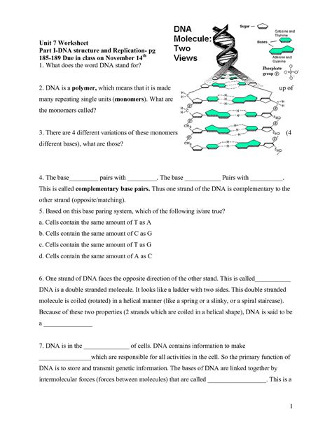 dna structure worksheet answer key pdf