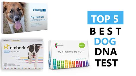 dna test for dogs reviews