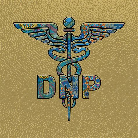 5 Tips DNP Nurse Practitioner