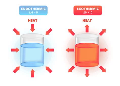 Do Exothermic Reactions Feel Cold