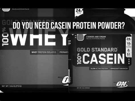 Casein Protein All You Need To Know About Casein Protein Powder