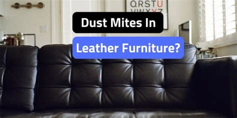 This Do Leather Couches Get Dust Mites New Ideas