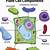 do plant cells have lysosomes