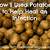 do potatoes draw out infection