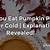 do you eat pumpkin pie hot or cold