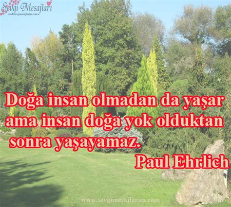 Rüyada Yeşil Göl Görmek ve Doğanın Mesajları