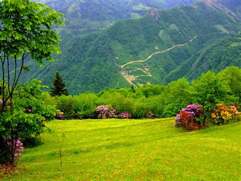 Doğanın Renkleri: Yeşil Gölün Büyüsü