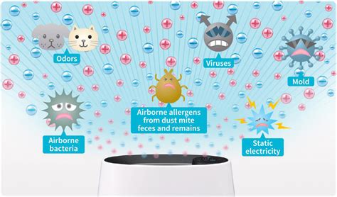 Do Air Purifiers Remove Bacteria
