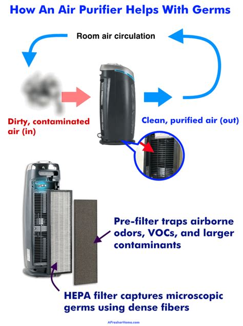 Do Air Purifiers Remove Germs
