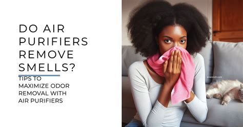 Do Air Purifiers Remove Paint Smells